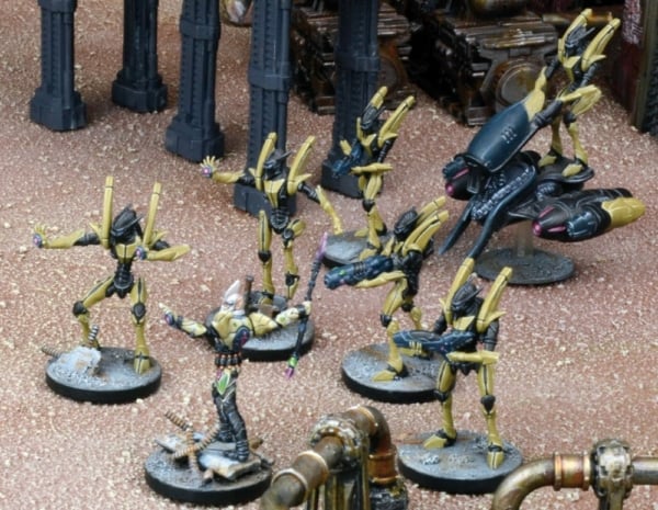 Asterians_assembled(1)