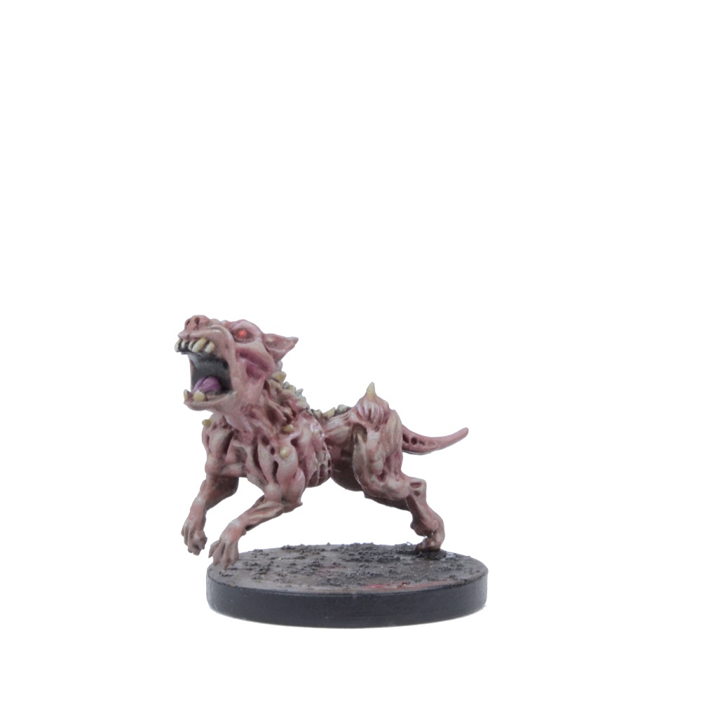 plague faction starter12 plague faction starter12