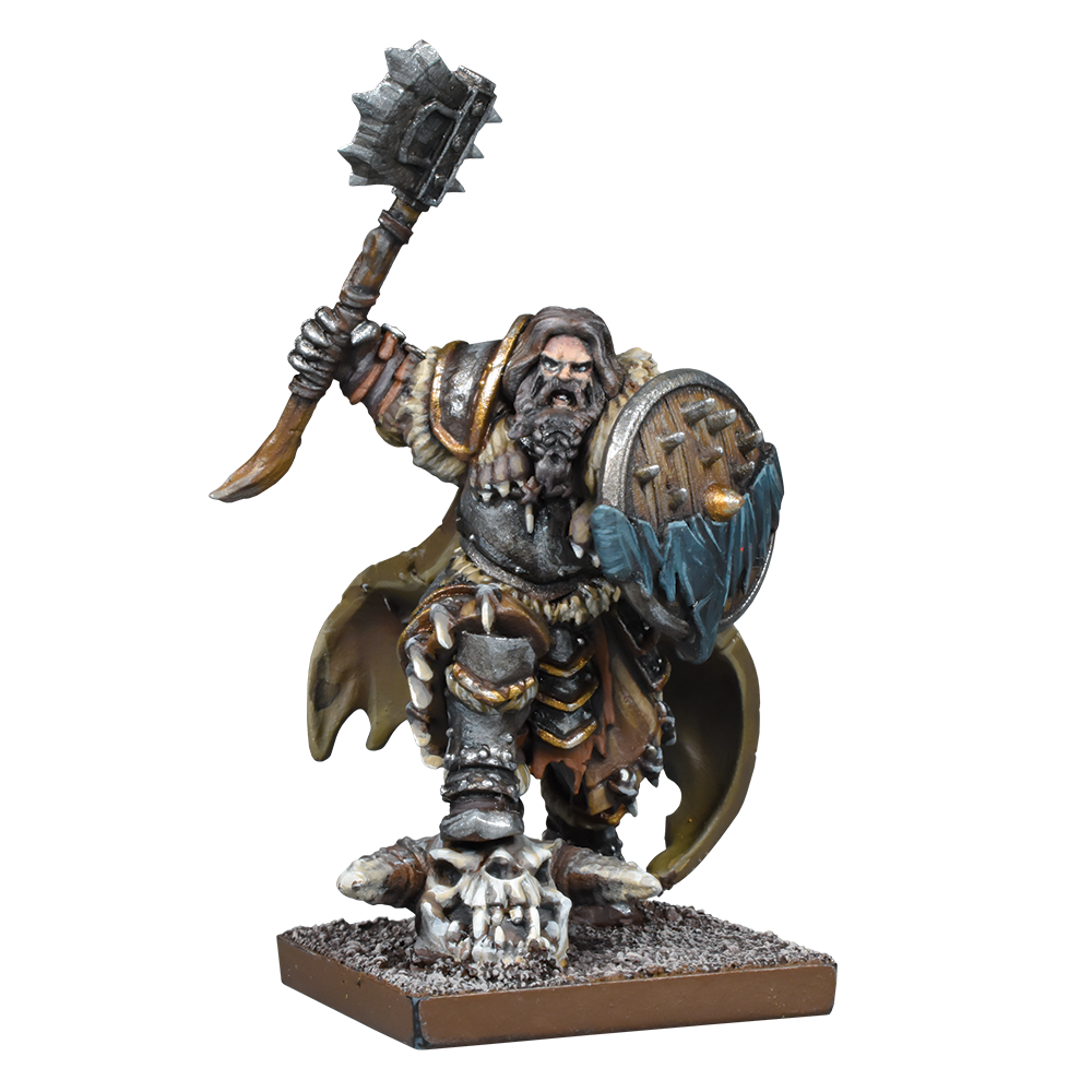 Northern Alliance Lord / Skald Gallery Image 2