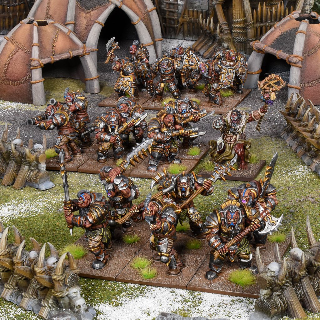 Ogre Army Colour Shot