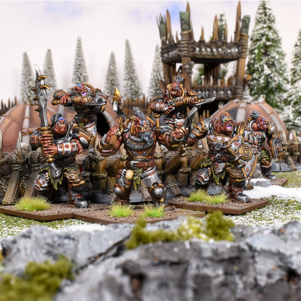 Ogre Warriors / Boomers Gallery Image 1