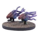nameless exocites