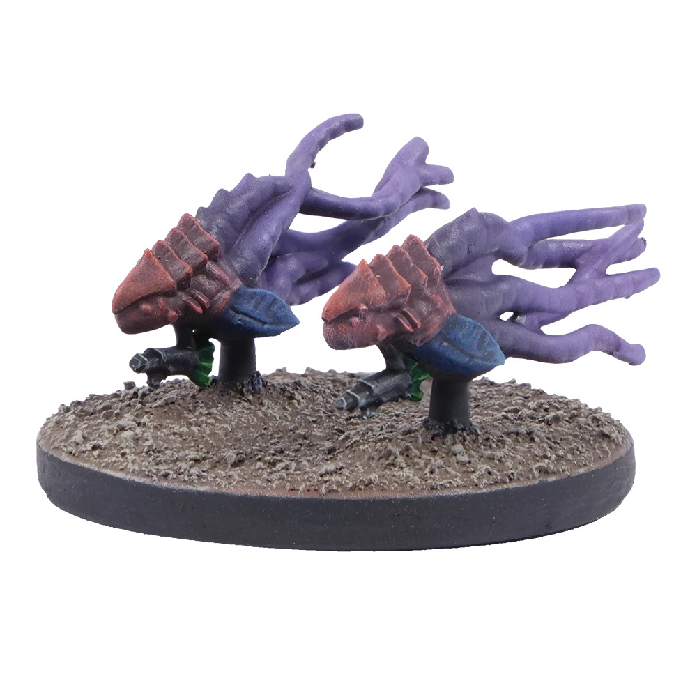 nameless exocites nameless exocites