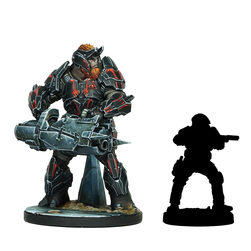 tovarus size comparison isolated